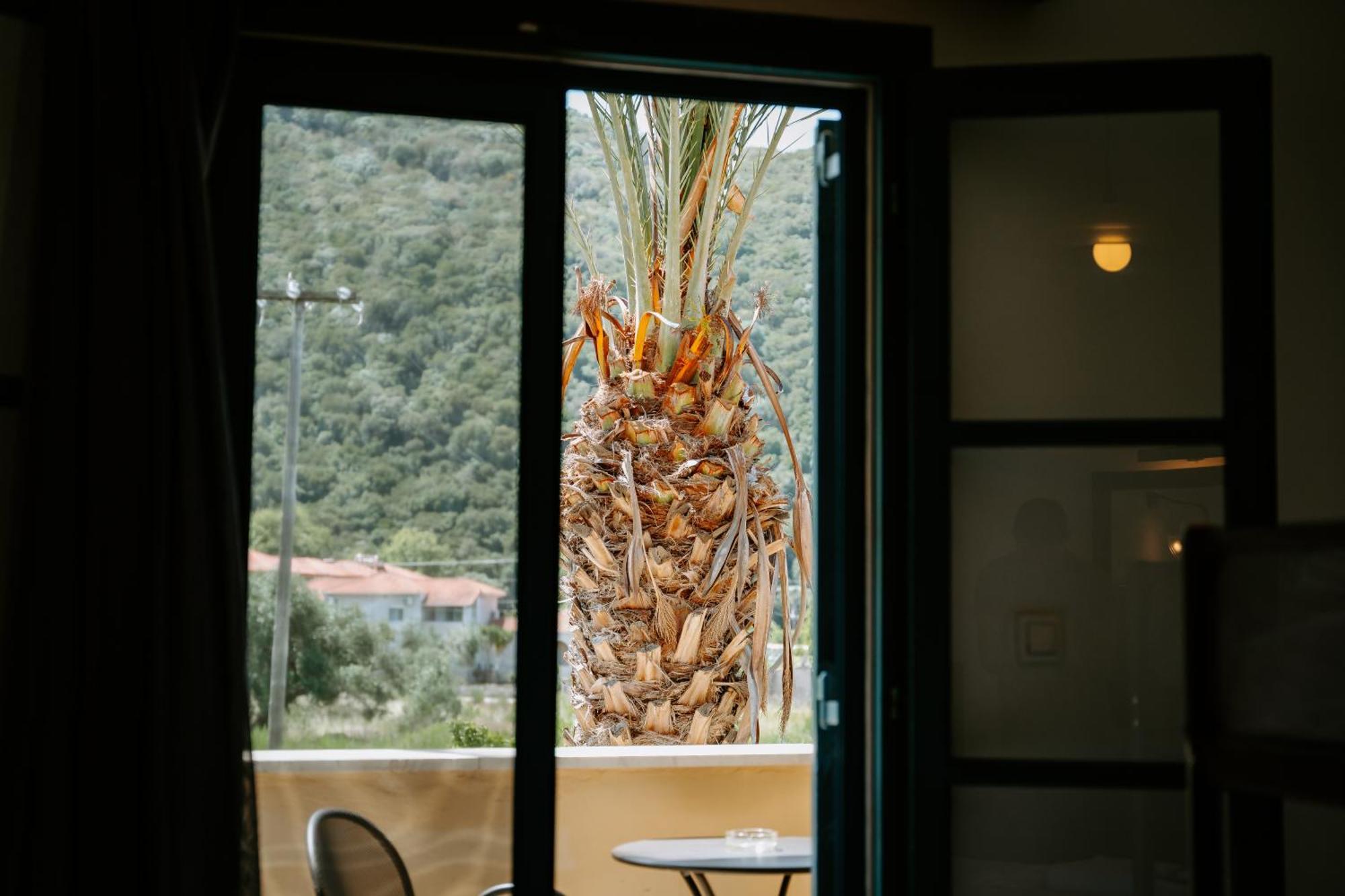 Karavostasi Beach Hotel ペルディカ エクステリア 写真